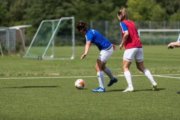 Bild 63 - Frauen FSC Kaltenkirchen - SG Daenisch-Muessen : Ergebnis: 7:1